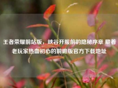 王者荣耀前站版，峡谷开服前的隐秘序章 藏着老玩家热血初心的前瞻版官方下载地址