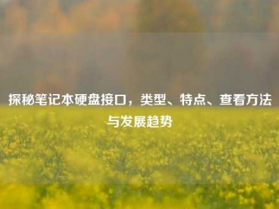 探秘笔记本硬盘接口，类型、特点、查看方法与发展趋势