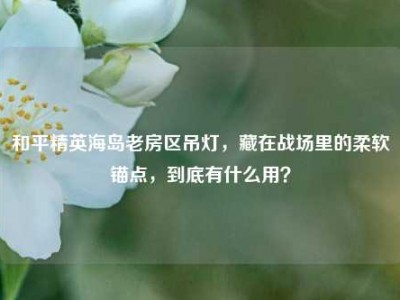 和平精英海岛老房区吊灯，藏在战场里的柔软锚点，到底有什么用？