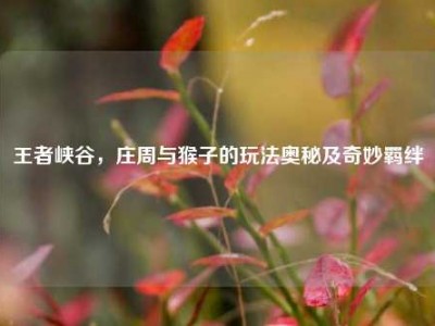 王者峡谷，庄周与猴子的玩法奥秘及奇妙羁绊