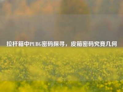 拉杆箱中PUBG密码探寻，皮箱密码究竟几何