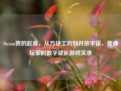 Steam我的起源，从方块工坊到开放宇宙，普通玩家的数字成长游戏实录