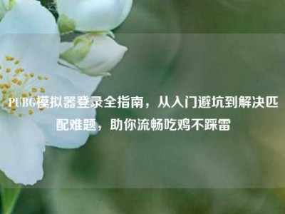 PUBG模拟器登录全指南，从入门避坑到解决匹配难题，助你流畅吃鸡不踩雷