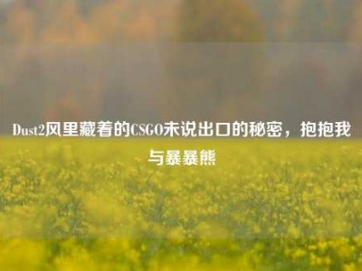 Dust2风里藏着的CSGO未说出口的秘密，抱抱我与暴暴熊