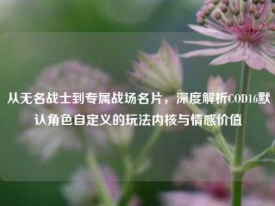 从无名战士到专属战场名片，深度解析COD16默认角色自定义的玩法内核与情感价值