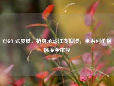 CSGO AK皮肤，枪身承载江湖浪漫，全系列价格梯度全排序