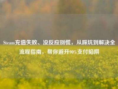 Steam充值失败、没反应别慌，从踩坑到解决全流程指南，帮你避开90%支付陷阱