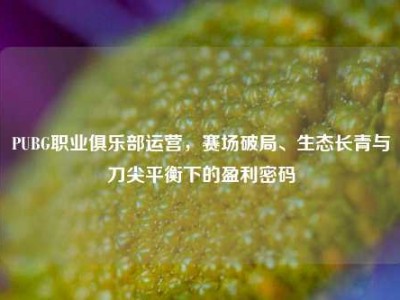 PUBG职业俱乐部运营，赛场破局、生态长青与刀尖平衡下的盈利密码