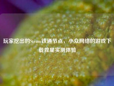 玩家挖出的Steam铁通节点，小众网络的游戏下载救星实测体验