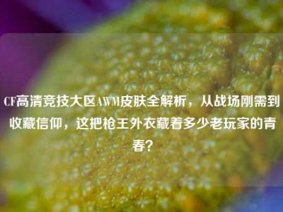 CF高清竞技大区AWM皮肤全解析，从战场刚需到收藏信仰，这把枪王外衣藏着多少老玩家的青春？