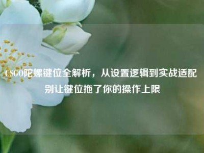 CSGO陀螺键位全解析，从设置逻辑到实战适配 别让键位拖了你的操作上限