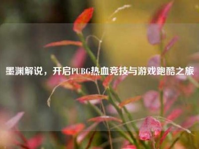墨渊解说，开启PUBG热血竞技与游戏跑酷之旅