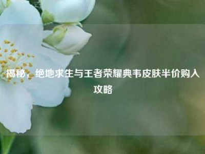 揭秘，绝地求生与王者荣耀典韦皮肤半价购入攻略