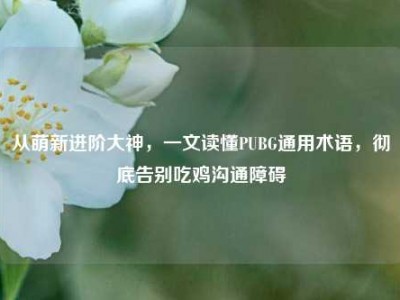 从萌新进阶大神，一文读懂PUBG通用术语，彻底告别吃鸡沟通障碍