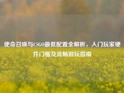 使命召唤与CSGO最低配置全解析，入门玩家硬件门槛及流畅游玩指南