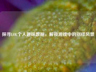 探寻LOL个人趣味数据，解锁游戏中的别样风景
