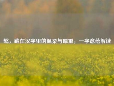 懿，藏在汉字里的温柔与厚重，一字意蕴解读