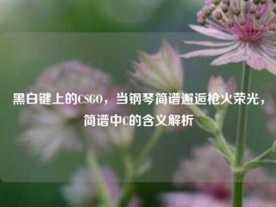 黑白键上的CSGO，当钢琴简谱邂逅枪火荣光，简谱中C的含义解析