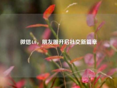 微信4.0，朋友圈开启社交新篇章
