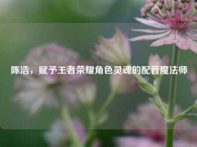 陈浩，赋予王者荣耀角色灵魂的配音魔法师