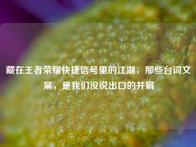 藏在王者荣耀快捷信号里的江湖，那些台词文案，是我们没说出口的并肩