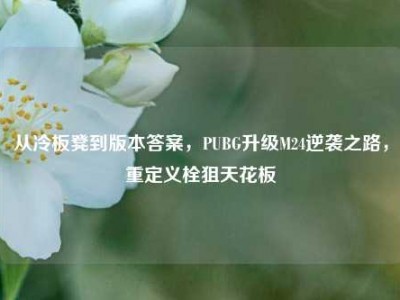 从冷板凳到版本答案，PUBG升级M24逆袭之路，重定义栓狙天花板