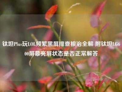 钛坦Plus玩LOL频繁黑屏排查根治全解 附钛坦LG600屏幕亮屏状态是否正常解答