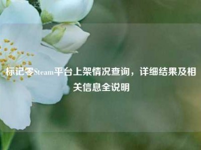 标记零Steam平台上架情况查询，详细结果及相关信息全说明