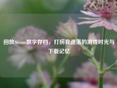 回放Steam数字存档，打捞我遗落的游戏时光与下载记忆
