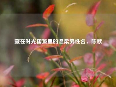 藏在时光褶皱里的温柔男性名，陈默