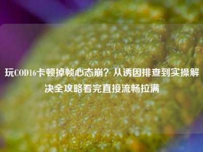 玩COD16卡顿掉帧心态崩？从诱因排查到实操解决全攻略看完直接流畅拉满