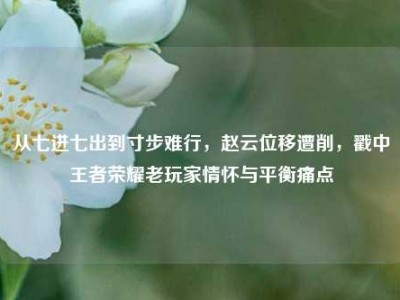 从七进七出到寸步难行，赵云位移遭削，戳中王者荣耀老玩家情怀与平衡痛点