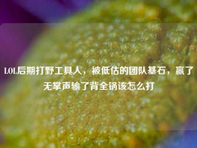 LOL后期打野工具人，被低估的团队基石，赢了无掌声输了背全锅该怎么打