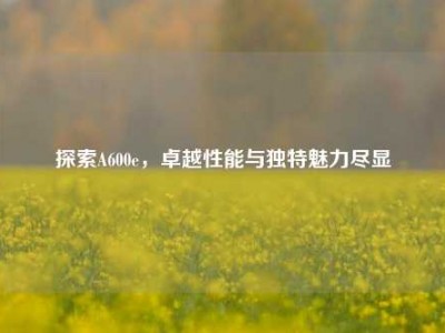 探索A600e，卓越性能与独特魅力尽显