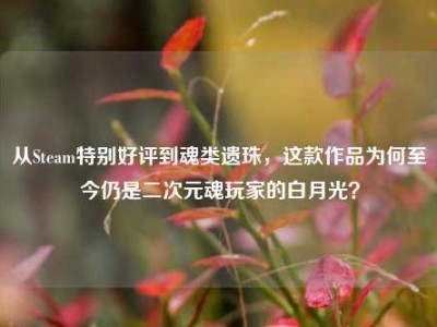 从Steam特别好评到魂类遗珠，这款作品为何至今仍是二次元魂玩家的白月光？