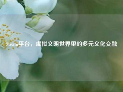 Steam平台，虚拟文明世界里的多元文化交融