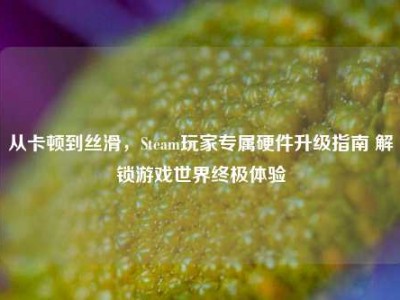 从卡顿到丝滑，Steam玩家专属硬件升级指南 解锁游戏世界终极体验