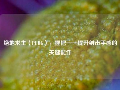 绝地求生（PUBG），握把——提升射击手感的关键配件
