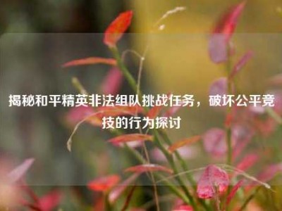 揭秘和平精英非法组队挑战任务，破坏公平竞技的行为探讨
