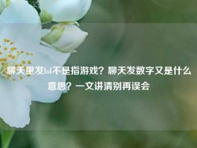 聊天里发lol不是指游戏？聊天发数字又是什么意思？一文讲清别再误会