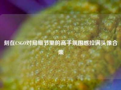 刻在CSGO对局细节里的高手氛围感拉满头像合集