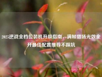 2025逆战全档位装机升级指南，满帧猎场光效全开最佳配置推荐不踩坑