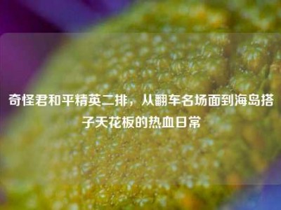 奇怪君和平精英二排，从翻车名场面到海岛搭子天花板的热血日常