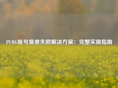 PUBG账号复查失败解决方案：完整实操指南