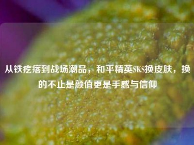 从铁疙瘩到战场潮品，和平精英SKS换皮肤，换的不止是颜值更是手感与信仰