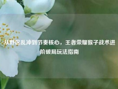 从野区乱冲到节奏核心，王者荣耀猴子战术进阶破局玩法指南