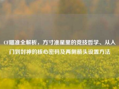 CF瞄准全解析，方寸准星里的竞技哲学、从入门到封神的核心密码及两侧箭头设置方法