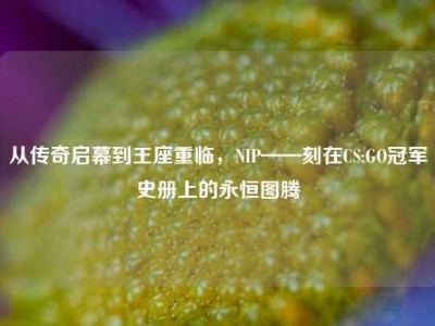 从传奇启幕到王座重临，NIP——刻在CS:GO冠军史册上的永恒图腾