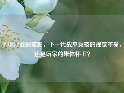 PUBG 2截图泄露，下一代战术竞技的视觉革命，还是玩家的集体怀旧？