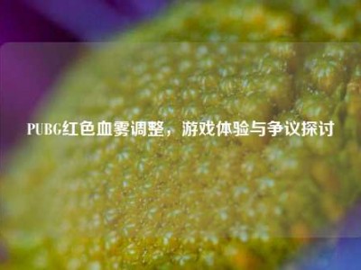 PUBG红色血雾调整，游戏体验与争议探讨